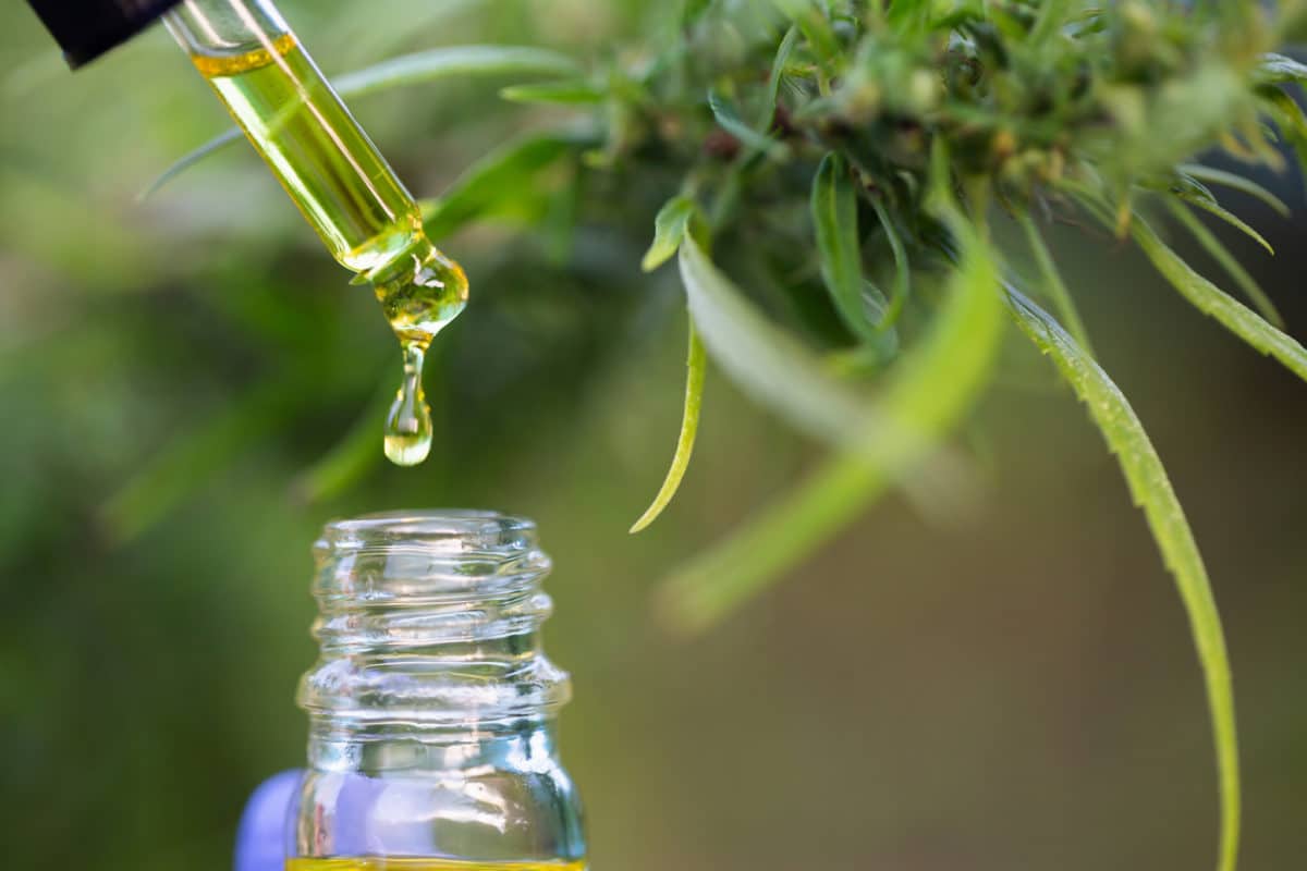 How Bulk CBD Distillate Helps Brands Scale Production Efficiently